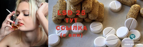 индика Козельск