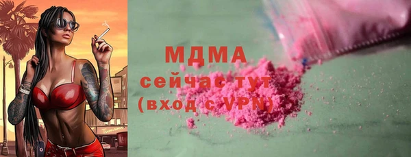 индика Козельск