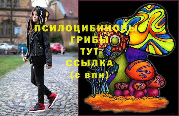 ПСИЛОЦИБИНОВЫЕ ГРИБЫ Кодинск