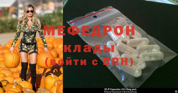 индика Козельск