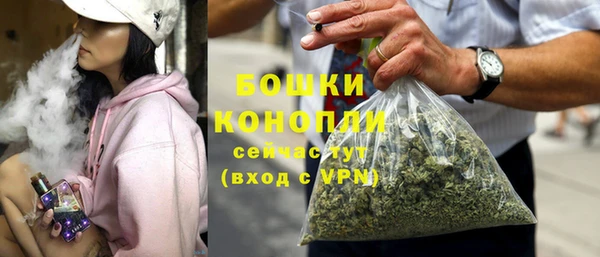 индика Козельск